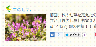 過去記事をアイキャッチと抜粋付きで表示