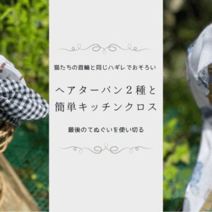 エントリ画像
