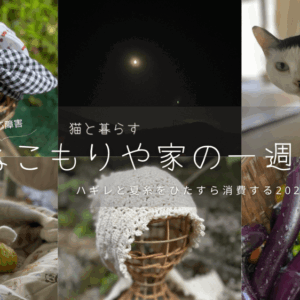 エントリ画像
