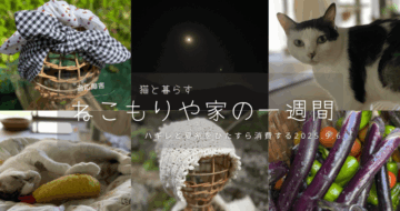 ハギレとてぬぐいを使い切って猫とおそろい〜猫と一緒に暮らす2025.9.6