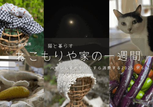 ハギレとてぬぐいを使い切って猫とおそろい〜猫と一緒に暮らす2025.9.6
