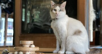 もうすぐ「福」が来て三ヶ月