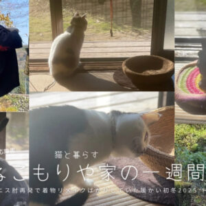 テニス肘再発で着物リメイクばかりしていた暖かな初冬〜猫と暮らす2025.11.15