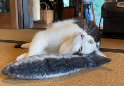 ねこにまたたび
