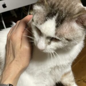 おおきな甘えん坊「福」