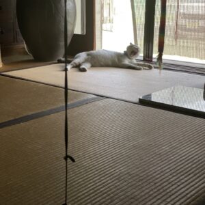 物思いに耽る「福」