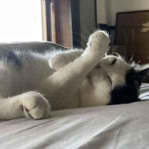 天然あざと可愛い「はる」