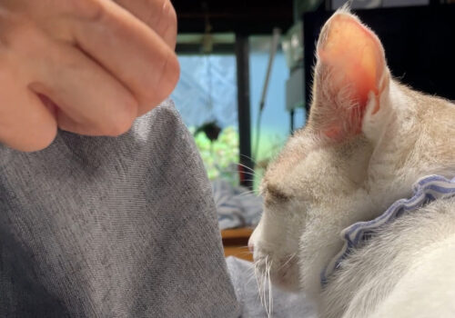 「福」と一緒