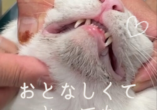 通院治療中