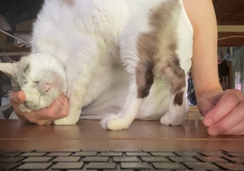 甘え隊隊長「福」