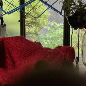 処暑のいちにち〜風鈴とかせまきとおしゃべりな猫たち