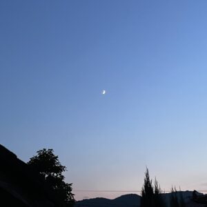 ごはんを食べるところを見ていてほしい「福」