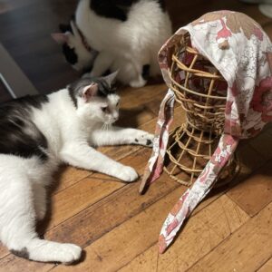 「こごみ」とおそろいのターバンキャップ