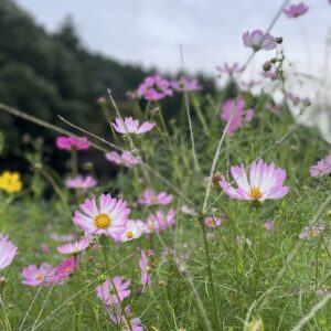 着物地でカジュアルにも着られるちょこっとはおり〜2way仕様