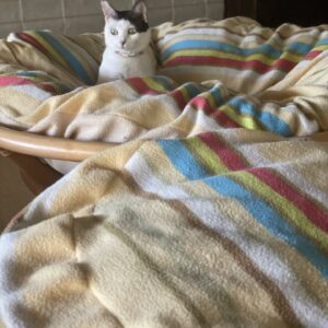 猫たちのベッドカバーを人間の布団カバーをリメイクして作りました
