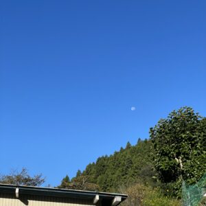 ねこもりや家の冬支度と真昼の月〜猫と一緒に暮らす2025.10.4