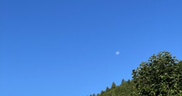 真昼の月