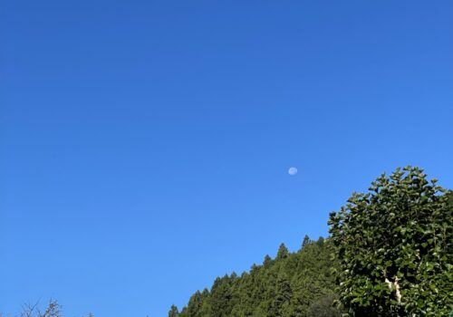 真昼の月
