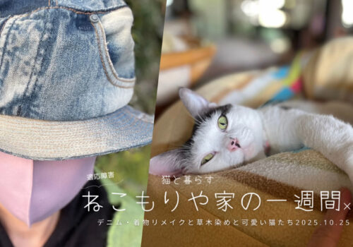 デニムリメイク＆着物リメイクと草木染め〜猫と暮らす2025.10.25