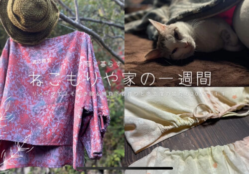 リメイクでよそ行き服と勝負下着作りと冬支度の猫たち2025.11.1