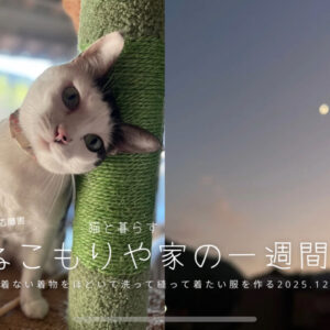 着ない着物をほどいて洗って縫い着たい服を作る〜猫と暮らす2025.12.6