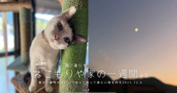 着ない着物をほどいて洗って縫い着たい服を作る〜猫と暮らす2025.12.6