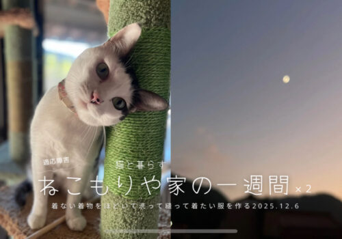 着ない着物をほどいて洗って縫い着たい服を作る〜猫と暮らす2025.12.6