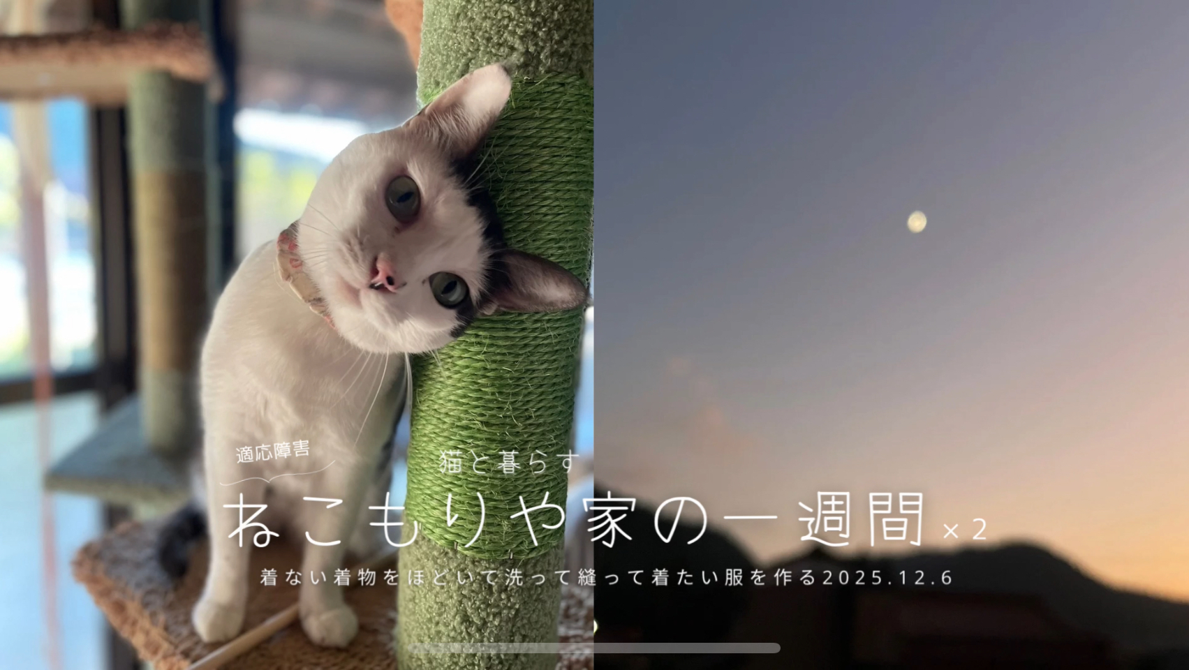 着ない着物をほどいて洗って縫い着たい服を作る〜猫と暮らす2025.12.6