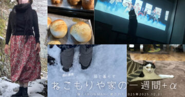 猫とsnowmanに癒され励まされた一年〜猫と暮らす2025.12.31#猫のいる暮らし