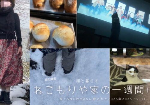 猫とsnowmanに癒され励まされた一年〜猫と暮らす2025.12.31#猫のいる暮らし