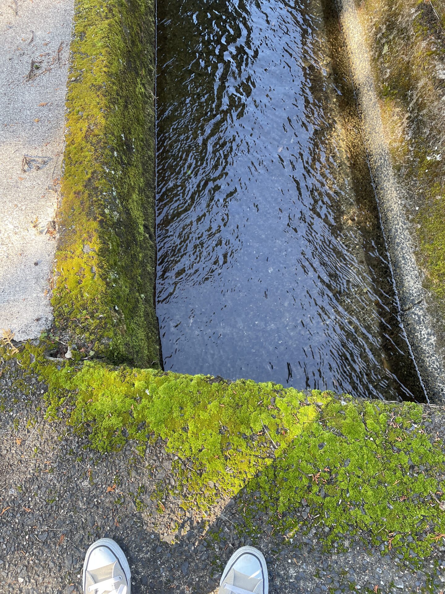 車検に車を出して歩いて帰る
