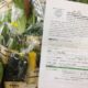 ロカヴォの有機野菜とお手紙