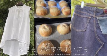 スノーマンの新曲と春夏物の準備に心躍る〜猫と暮らすねこもりや家の毎日2026.4.19