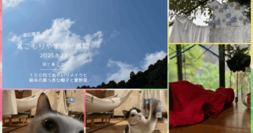 ねこもりや家の一週間8/24