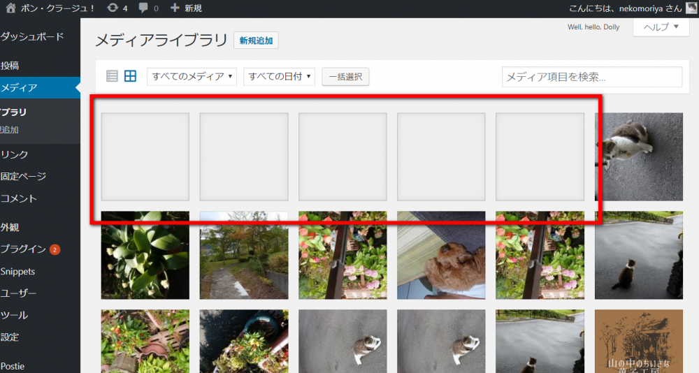 Wordpress アップロードしたはずの画像が表示されない時の原因 極楽ひだまり保育園